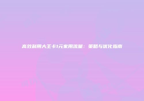 高效利用大王卡1元家用流量：策略与优化指南