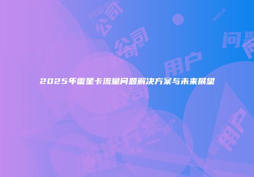 2025年雷星卡流量问题解决方案与未来展望