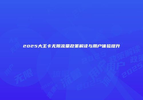 2025大王卡无限流量政策解读与用户体验提升