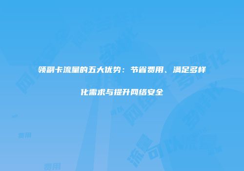 领副卡流量的五大优势：节省费用、满足多样化需求与提升网络安全