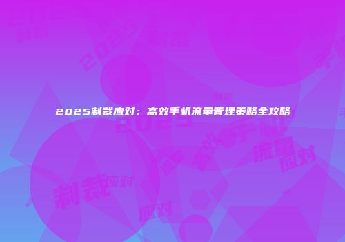 2025制裁应对：高效手机流量管理策略全攻略