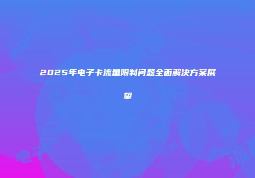 2025年电子卡流量限制问题全面解决方案展望