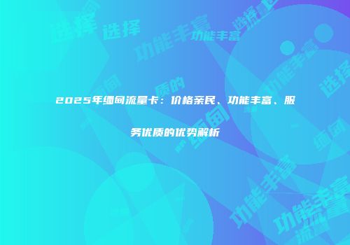 2025年缅甸流量卡：价格亲民、功能丰富、服务优质的优势解析
