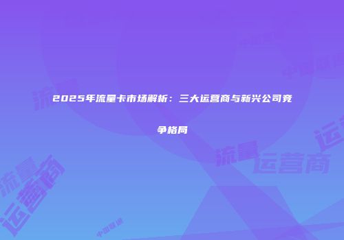 2025年流量卡市场解析：三大运营商与新兴公司竞争格局