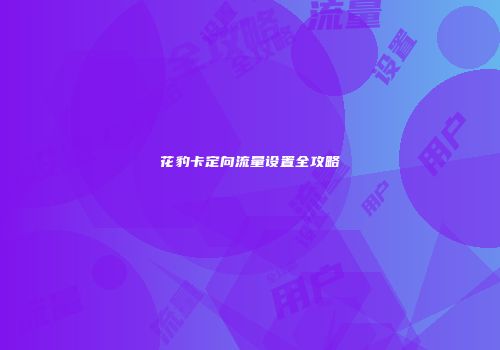 花豹卡定向流量设置全攻略