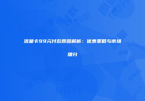 流量卡99元付款原因解析：优惠策略与市场细分