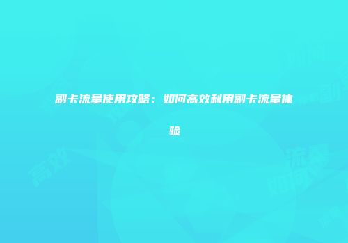 副卡流量使用攻略：如何高效利用副卡流量体验