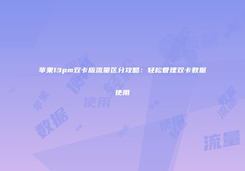 苹果13pm双卡版流量区分攻略：轻松管理双卡数据使用