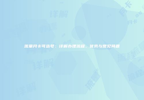 流量月卡可选号：详解办理流程、优势与常见问题