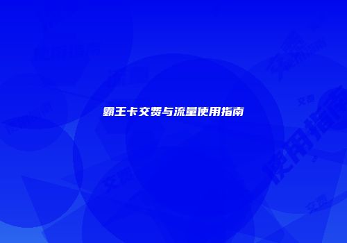 霸王卡交费与流量使用指南