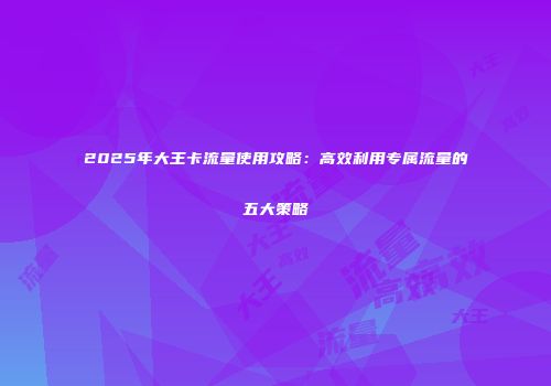 2025年大王卡流量使用攻略：高效利用专属流量的五大策略
