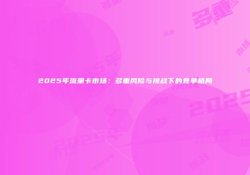 2025年流量卡市场：多重风险与挑战下的竞争格局