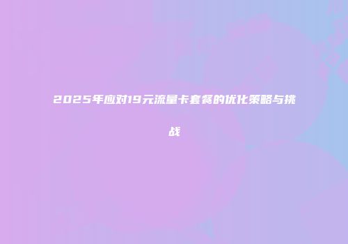 2025年应对19元流量卡套餐的优化策略与挑战