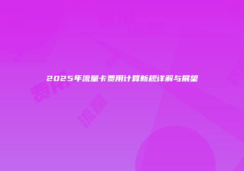 2025年流量卡费用计算新规详解与展望