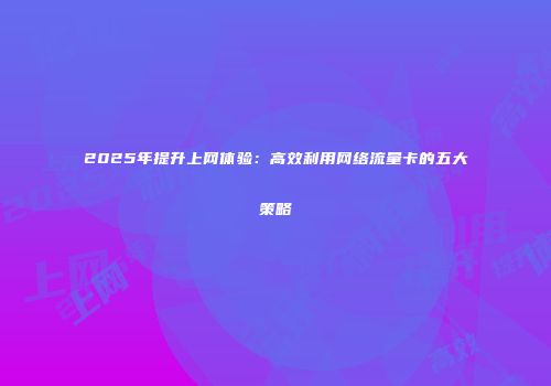2025年提升上网体验：高效利用网络流量卡的五大策略