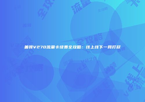 善领V270流量卡续费全攻略：线上线下一网打尽