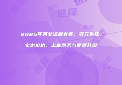 2025年河北流量套餐：多元选择、实惠价格、丰富服务与便捷升级