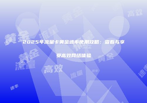 2025年流量卡黄金速率使用攻略：查看与享受高效网络体验