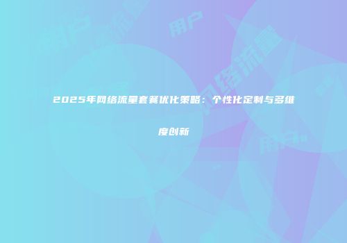 2025年网络流量套餐优化策略：个性化定制与多维度创新