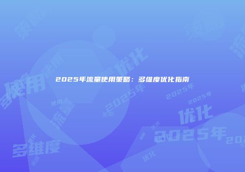2025年流量使用策略：多维度优化指南