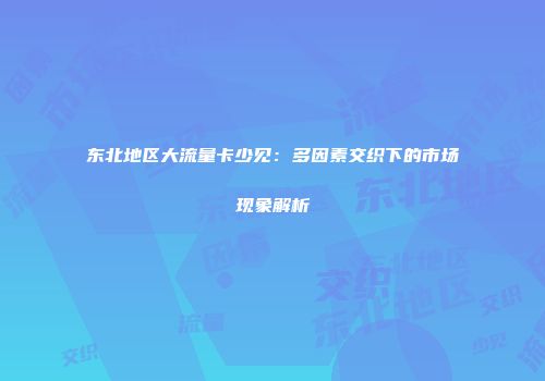 东北地区大流量卡少见：多因素交织下的市场现象解析