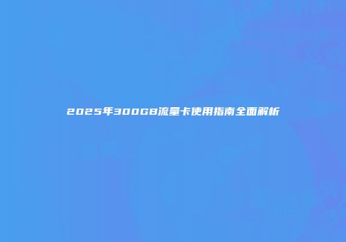 2025年300GB流量卡使用指南全面解析