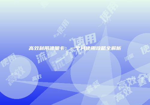 高效利用流量卡：一个月使用攻略全解析
