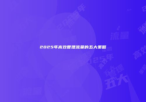 2025年高效管理流量的五大策略
