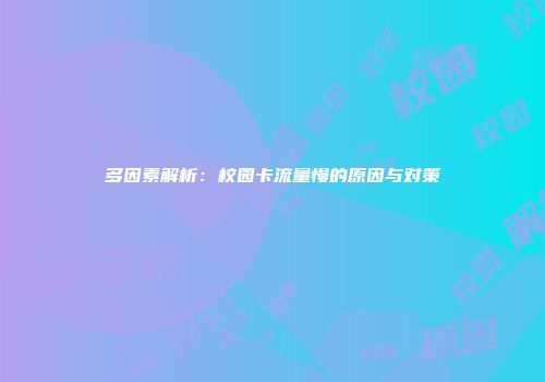 多因素解析：校园卡流量慢的原因与对策