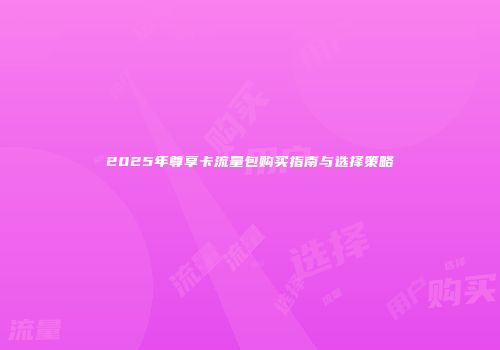 2025年尊享卡流量包购买指南与选择策略