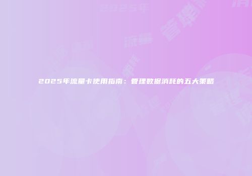 2025年流量卡使用指南：管理数据消耗的五大策略