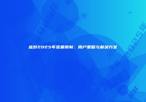 应对2025年流量限制：用户策略与解决方案