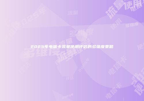 2025年电信卡流量使用评估的多维度策略