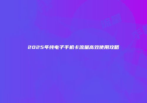 2025年纯电子手机卡流量高效使用攻略