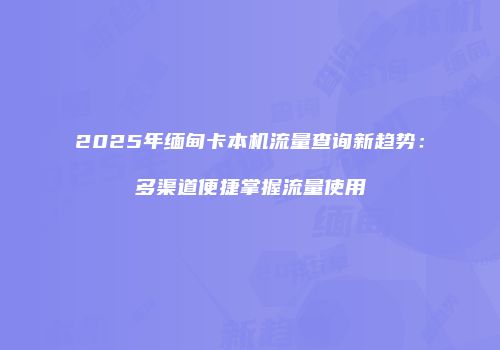 2025年缅甸卡本机流量查询新趋势：多渠道便捷掌握流量使用
