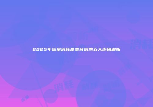 2025年流量消耗昂贵背后的五大原因解析