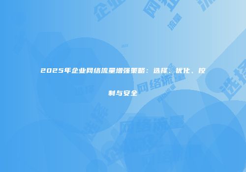 2025年企业网络流量增强策略：选择、优化、控制与安全