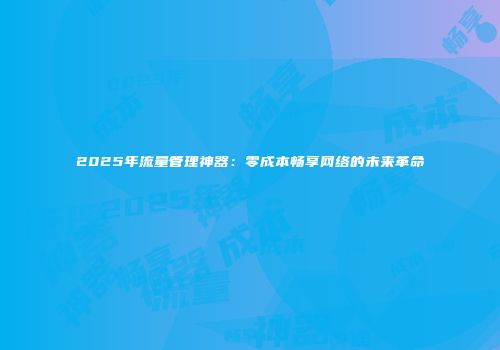 2025年流量管理神器：零成本畅享网络的未来革命