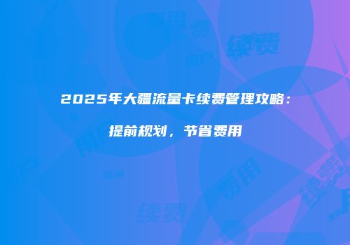 2025年大疆流量卡续费管理攻略：提前规划，节省费用