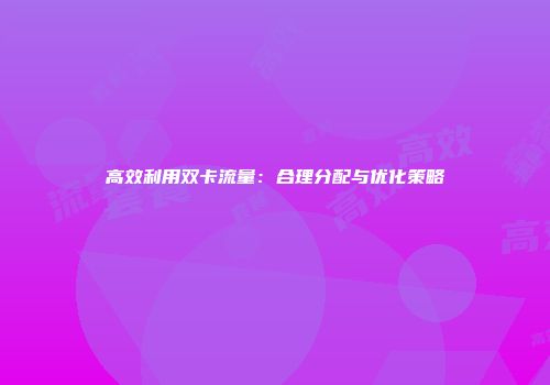 高效利用双卡流量：合理分配与优化策略