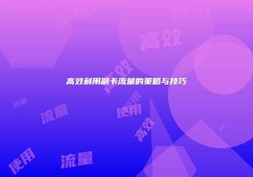 高效利用副卡流量的策略与技巧