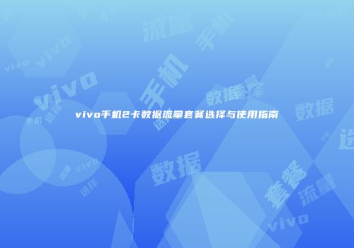 vivo手机2卡数据流量套餐选择与使用指南
