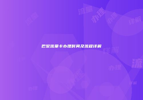 巴黎流量卡办理时间及流程详解