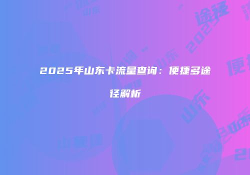 2025年山东卡流量查询：便捷多途径解析