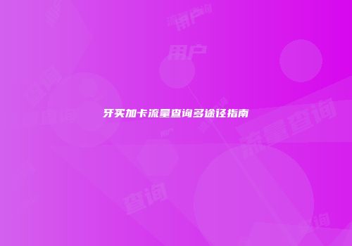 牙买加卡流量查询多途径指南