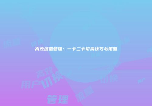高效流量管理:一卡二卡切换技巧与策略