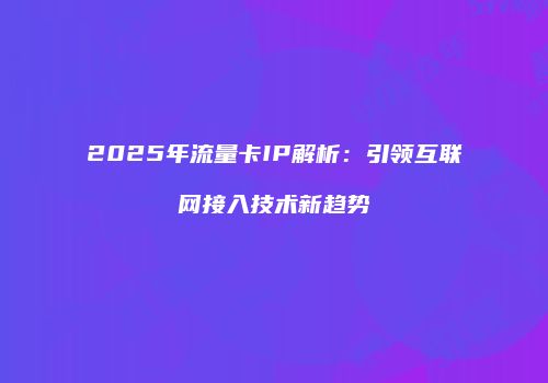 2025年流量卡IP解析：引领互联网接入技术新趋势