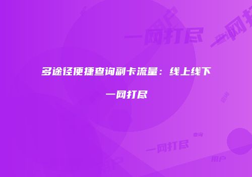 多途径便捷查询副卡流量：线上线下一网打尽
