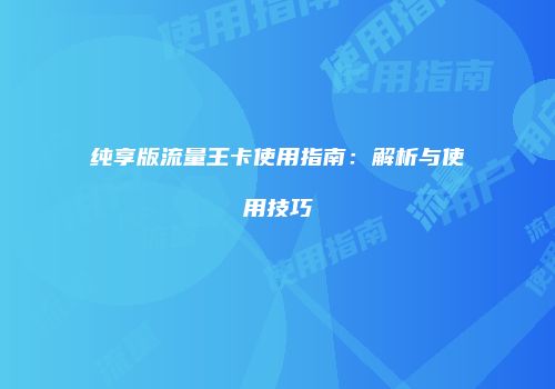纯享版流量王卡使用指南:解析与使用技巧