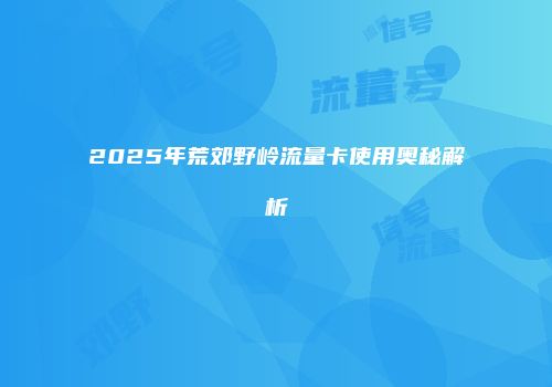 2025年荒郊野岭流量卡使用奥秘解析